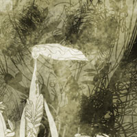 Detalle Mujer y olivo, dibujo de Montse Noguera